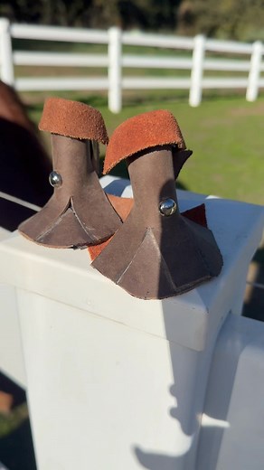 Leather chaps for hawks hunting squirrels. My horse, Lillie wasn't impressed | Allyson M Hicks