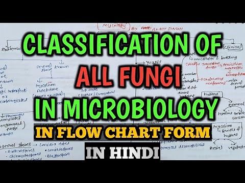 Mycology | Classification of Fungi in Microbiology | Classification of Fungi | Flow Chart