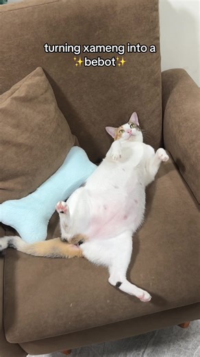 Turning Xameng into a Bebot: Fun Tutorial