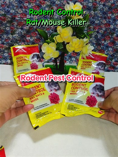 Effective Rodent Control Solutions for Your Home