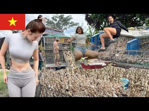 Full Video: When Boats Empty and Trucks Roar—Vietnam’s Largest Duck Migration Begins