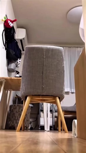 Hilarious Cats: Unforgettable Funny Moments