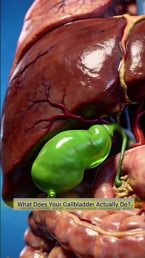 What Does Your Gallbladder Actually Do?