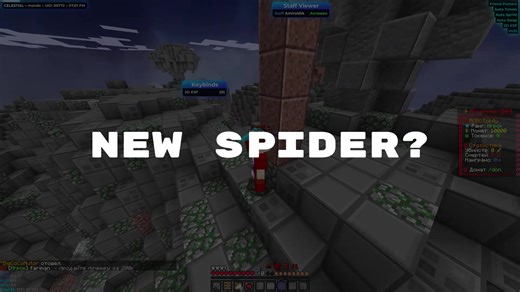 Understanding Spider Species in Minecraft