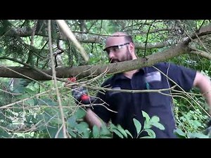 Wood Ranger Mini Power Chainsaw in Action