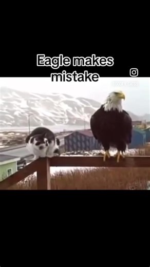 dj_rob_one_212_nyc (@dj_rob_one_212_nyc)’s videos with original sound - dj_rob_one_212_nyc