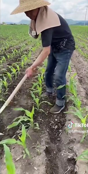 Exploring Sustainable Farming Practices for Farmers