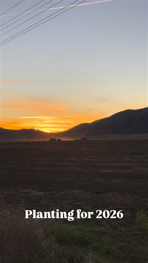90 reactions | Clint, Walker, and Joe have been busy! They got started planting the 2026 grain hay crop with anticipation of this week’s storm. It’s long days on the tractor, but you can’t beat this sunset at the end of the day. #rankinranch #ranchlife #farming #hay #sunset | Rankin Ranch | Facebook