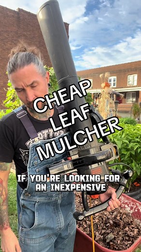 If you need an inexpensive way to mulch up leaves for your garden beds or compost this may be a good option for you. #gardening #leafmulch #compost #gardentok