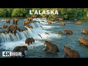 ETERNAL WINTER | Secrets of the Wild North | WILDLIFE DOCUMENTARY