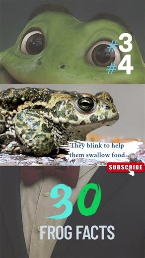 2 Crazy Frog Facts You’ve Never Heard! 🐸 #frogs #kidslearning #kidsshorts