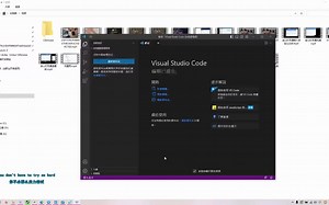 Visual Studio Code如何设置中文