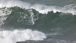 Red Bull Surfing on Reels