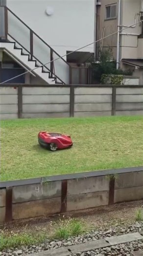 ぶんぶん芝生を走る可愛い車 cute small car driving on the grass #cute #car #peaceful #driving #grass #relaxing
