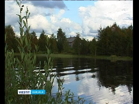 Viena nykyjäh