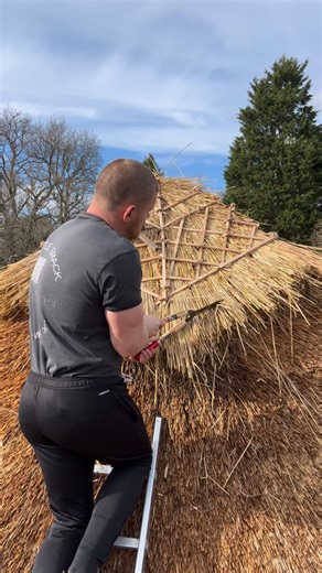 Transformation in bound #thethatchingguy #alright #thatch #instagood #reels | Thethatchingguy