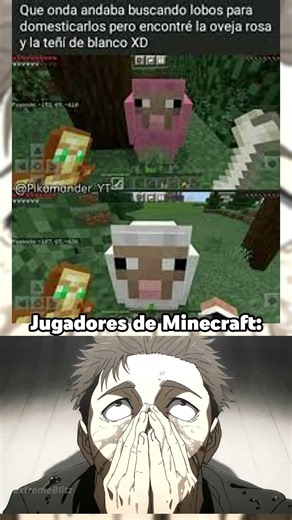 El PEOR Crimen... #minecraft