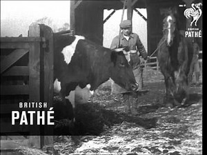 Weather Story (1947)