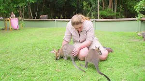 15K views · 2.2K reactions | Join Keeper Becky-Jo and the cutest little joeys as they grow big and strong so they can join our mob of kangaroos at Australia Zoo! | Australia Zoo | Facebook