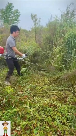 33K views · 139 reactions | HONDA GX35-Grass Cutter 4 Stroke Grass Trimme brush Cutter Gasoline Grass Cutter #grasscutter #fyp #highlightsシ゚ #followersreels #fbfriendsfollowersviewers | Gab TV | Facebook