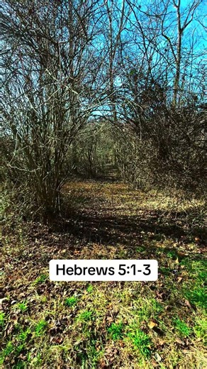 Bible reading #bible #scripture #jesus #nature #outdoors
