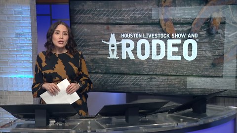 RodeoHouston officials dispute claim by Harris County Judge Lina Hidalgo about being shoved