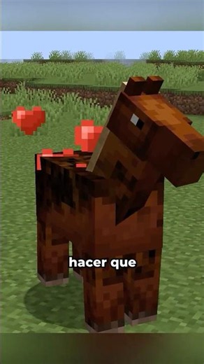 how to tame horses