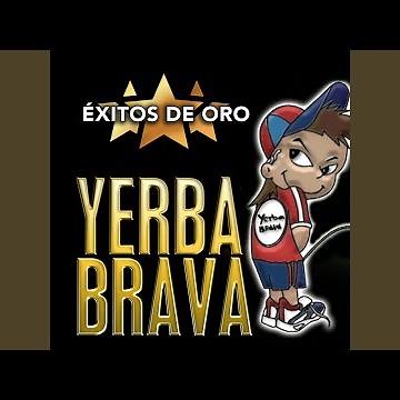 Olor a Gato