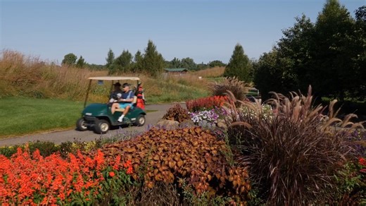 2.6K views · 14 reactions | Spend an afternoon surrounded by fall colors while golfing in Stillwater! Book a tee time soon. Play golf by day, dine and cheers by night downtown Stillwater! #OnlyinMN Explore Minnesota | Discover Stillwater | Facebook