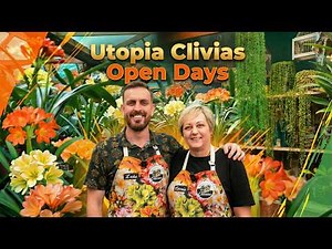 🌸 Utopia Clivias Open Days | A Garden of Colour in Full Bloom