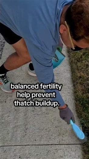 Beat Thatch With These Simple Lawn Care Tips ❌ #DidYouKnow #Shorts #GrassTok #HealthyLawn #InstaRe