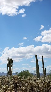 Unboxing two of our elegant sandals from this spring’s collection! Which one do you prefer? #springhaul #sandals #SlideSandals | Born Shoes