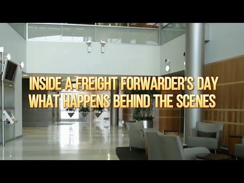 Inside a Freight Forwarder's Day What Happens Behind the Scenes #FreightForwarder#LogisticsTeam