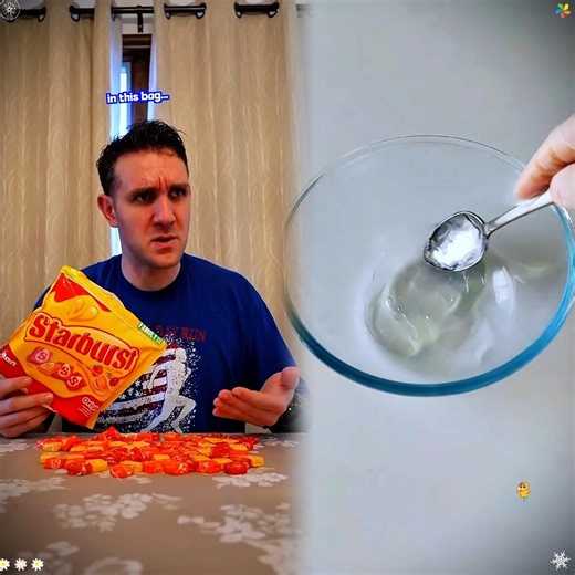 Mini Cockapoo Thinks Hard About Each Math Question 😳