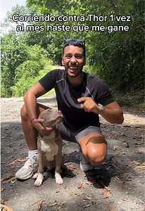 Llegó el día!🏁 @Thor El Pitbull #carrera #fast #pitbull #dog #perro | zeus