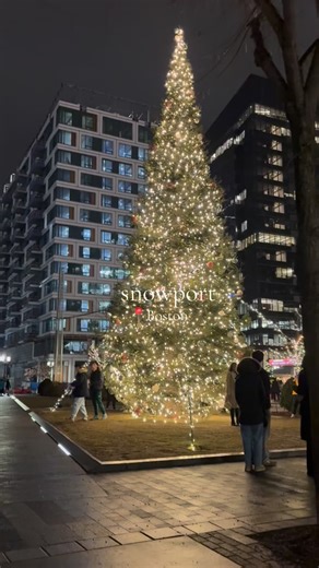 Rams, have you gotten the chance to visit Snowport during break? 🎥 Kenzy El Sayed '26 | Framingham State University