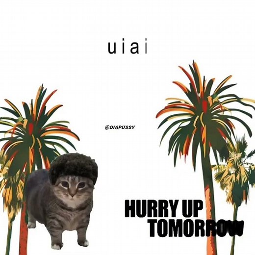 Oiia Cat X Take Me Back To LA - The Weeknd