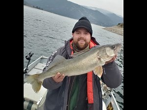Fall Walleye Fishing Lake Roosevelt (4-8 lbers))