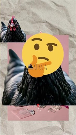 Valentine Roast #3 - the Praying Mantis Is a Better Provider Than You (no surprise)