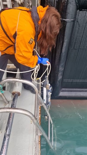 Researchers find evidence of Nunavut's 1st invasive barnacle through its poo