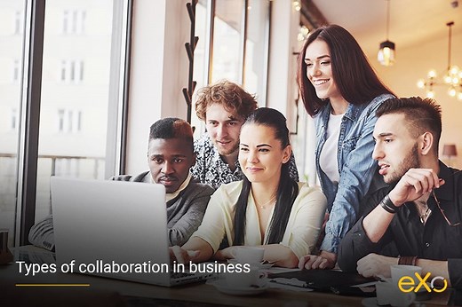 Definition and Types of Collaboration in Business