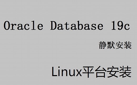 Oracle Database 19c Linux 静默安装