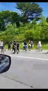 19K views · 286 reactions | WATCH: Video shows protesters along I-95 in the Norwalk area today. MORE COVERAGE: https://tinyurl.com/yay9ppag | News 12 Connecticut | Facebook