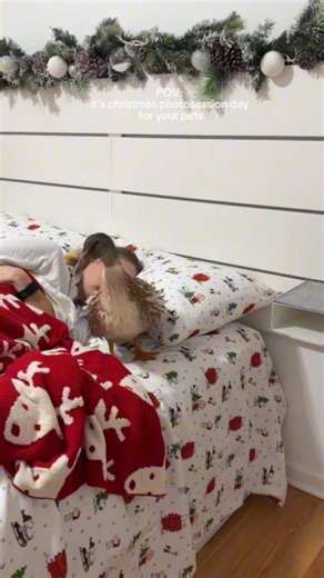 Satisfying Rijju 💗 on Instagram: "Spend My Morning With Me 🦆☕ | Duck Pool, Bath Time & Morning Clean 🫧 #satisfyingrijju This video by the hayeks... Spend my peaceful morning with me 🦆🤍 Duck pool time, bath routine, duck food & clean reset 🛁☕🫧 So calm, cozy and satisfying to watch ✨ If you love morning routines, cute ducks & relaxing vibes — this video is for you 🌿 💛 Like • Comment • Share • Follow for more duck & ASMR videos #aestheticrijju #SpendMyMorningWithMe #MorningRoutine #DuckMor