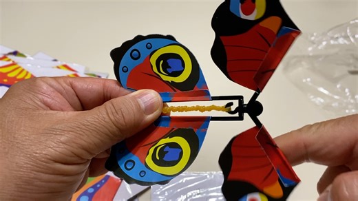 Watch Magic Flying Butterfly, Card Surprise, Wind Up Butterfly in The Book, Rubber Band Powered Flying Toy on Amazon Live
