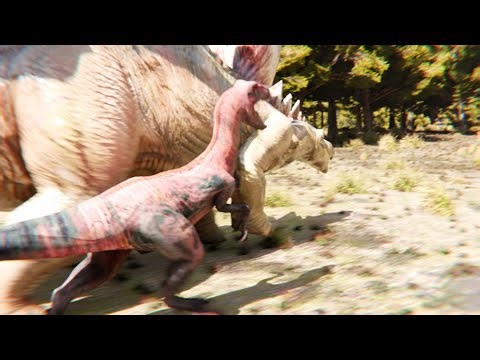 Hi Guys! This will be my last video and I just wanted to thank you guys for all your support.❤️❤️