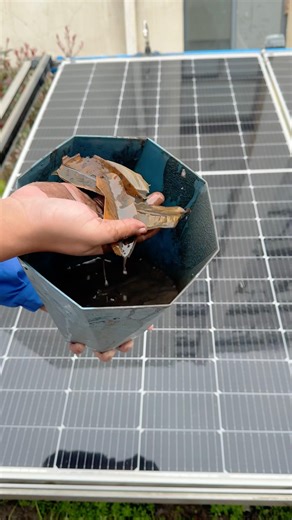 Can rain wash leaves off solar panels? The result might surprise you？#superpiping