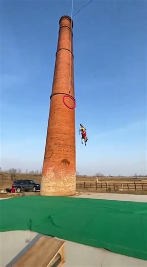 Amazing Dog Jumps to Catch the Goal Unbelievable Athletic Moment #dog