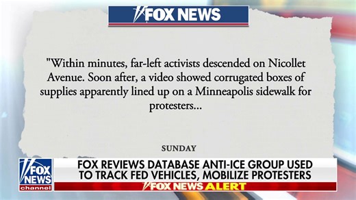 Fox reviews database anti-ICE group used to track federal vehicles, mobilize protesters
