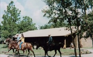 22K views · 840 reactions | Let’s go back to 1971   #disneyworld #1970s #waltdisneyworld #orlandoflorida #disneyparks #backintime #1970sstyle #remember | Days Gone Disney | Facebook